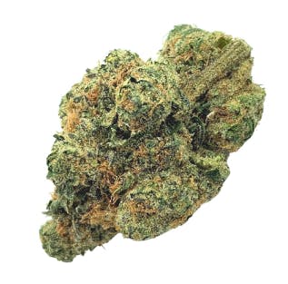 Product: Race Gas | Classic Roots Farm