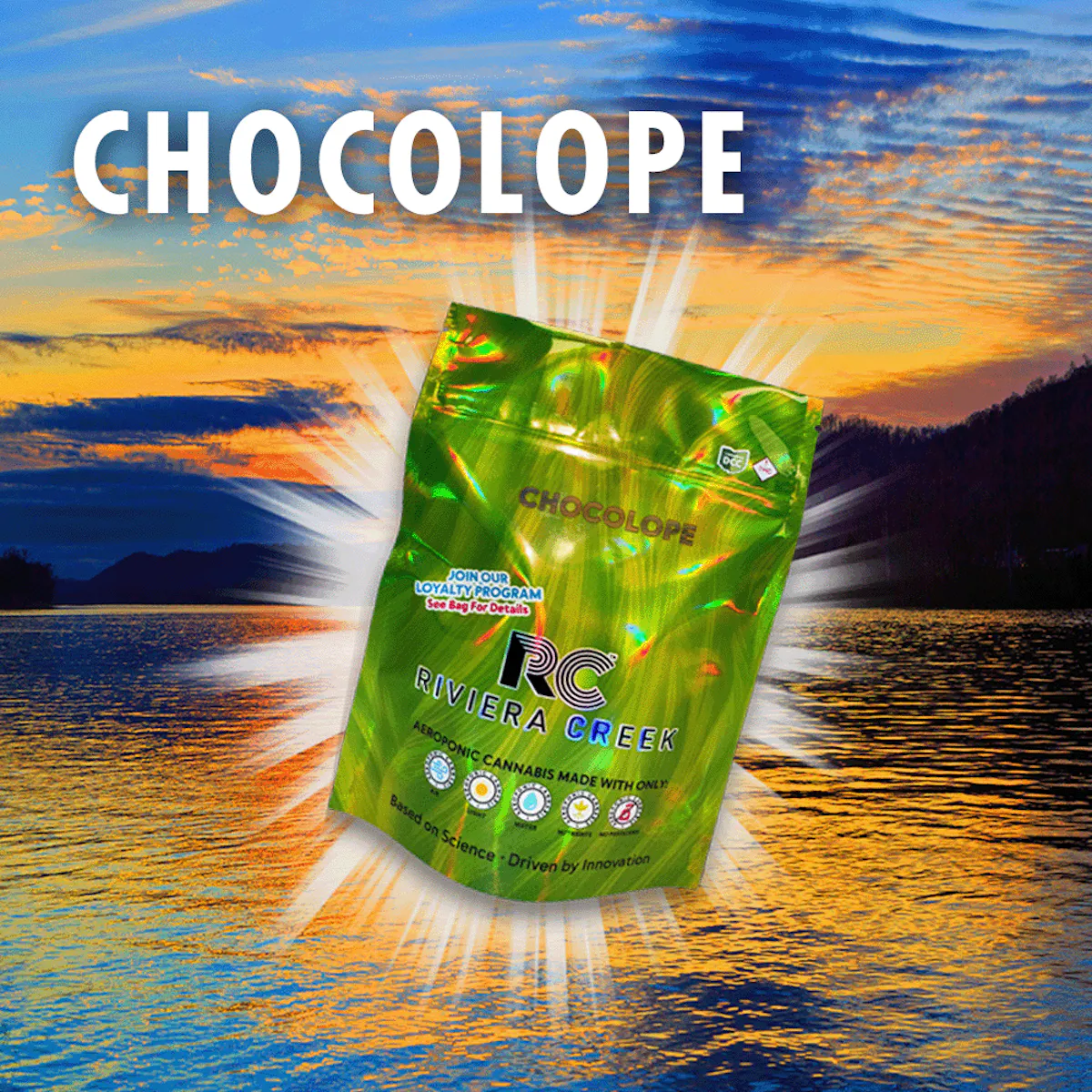 Chocolope 2.83g Flower | Riviera Creek