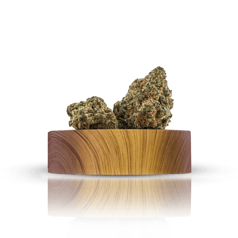 Photo of High Peaks | Orangutan Cookies | Flower