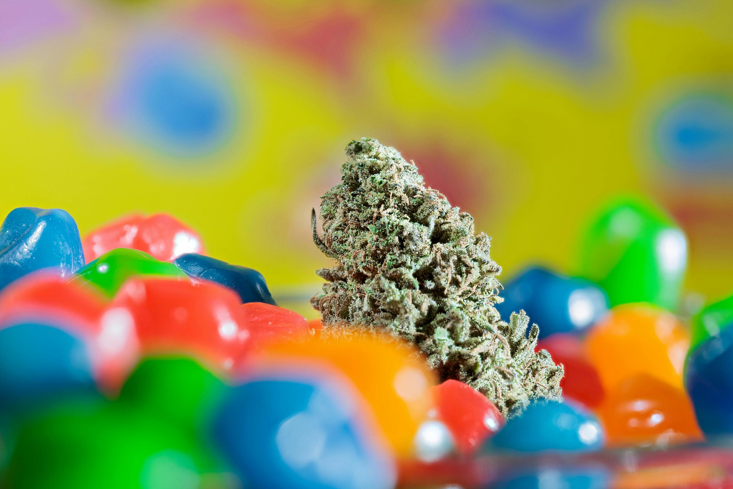 Grasshopper Farms | Ice Cream Cake | Indica | Bulk Flower | BRONZE