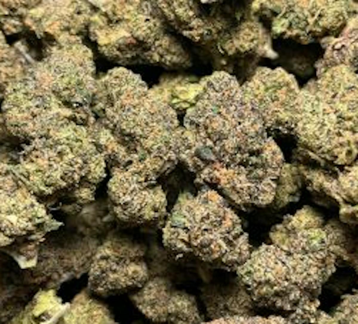 Photo of Platinum Shelf – Runtz (H)