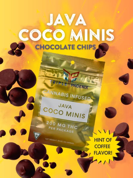Product: Java Coco Mini's | 5mg x 40pk | Triple Phoenix