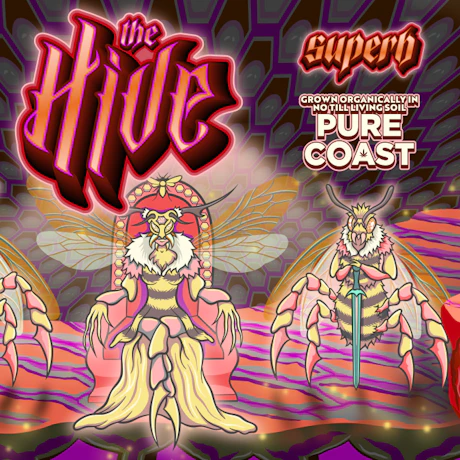 Superb Cannabis - Rosin - The Hive #11 - product image at King of Budz
