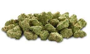 Product: Gold Cash Gold | Pleasantrees