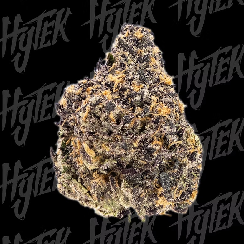Hytek | Los Muertos 10