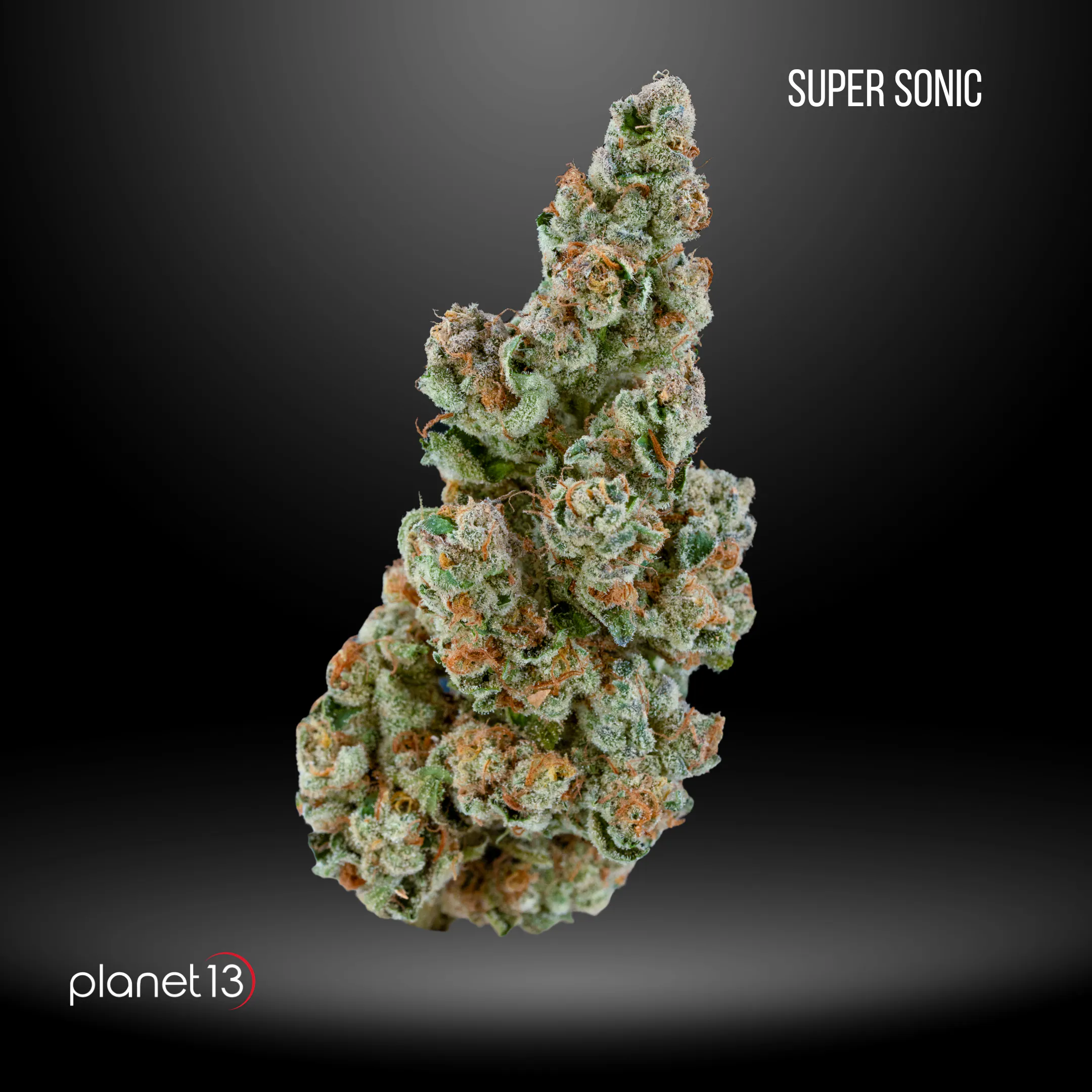 Cannabis Flower | Planet 13 Jacksonville