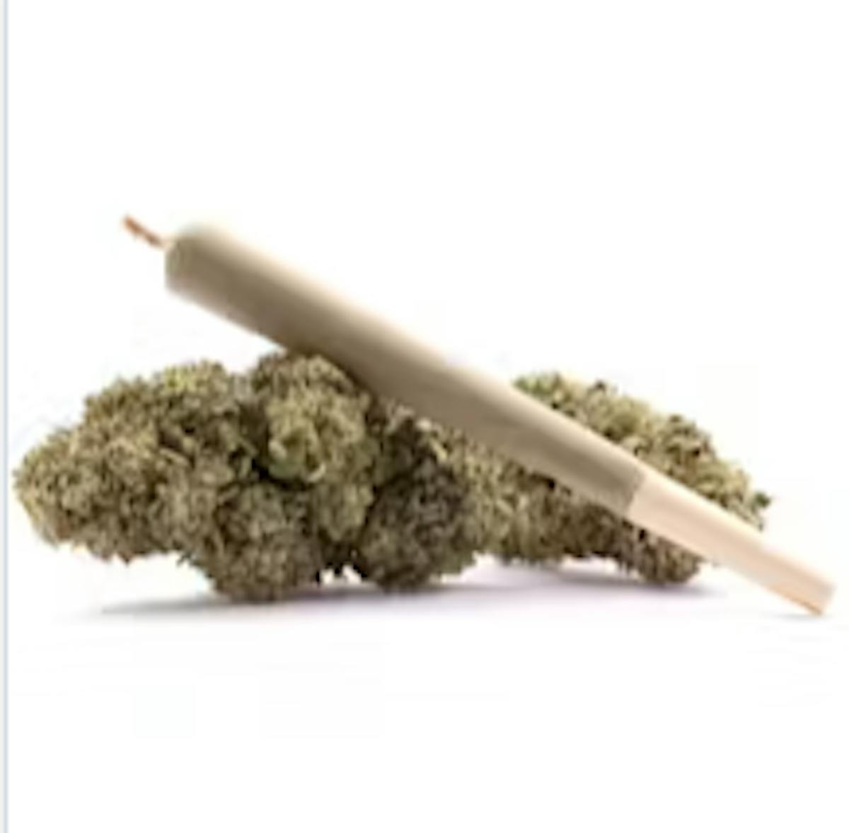 Image of Jealousy | .5g Preroll