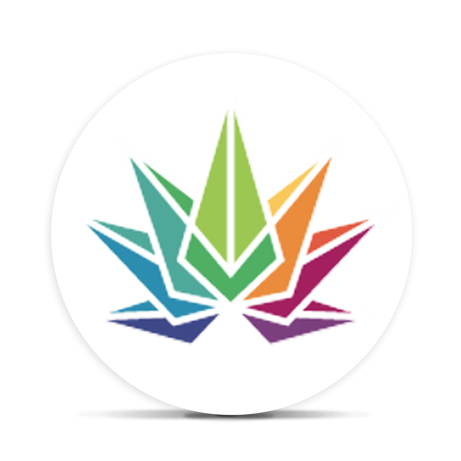 High Falls Canna logo