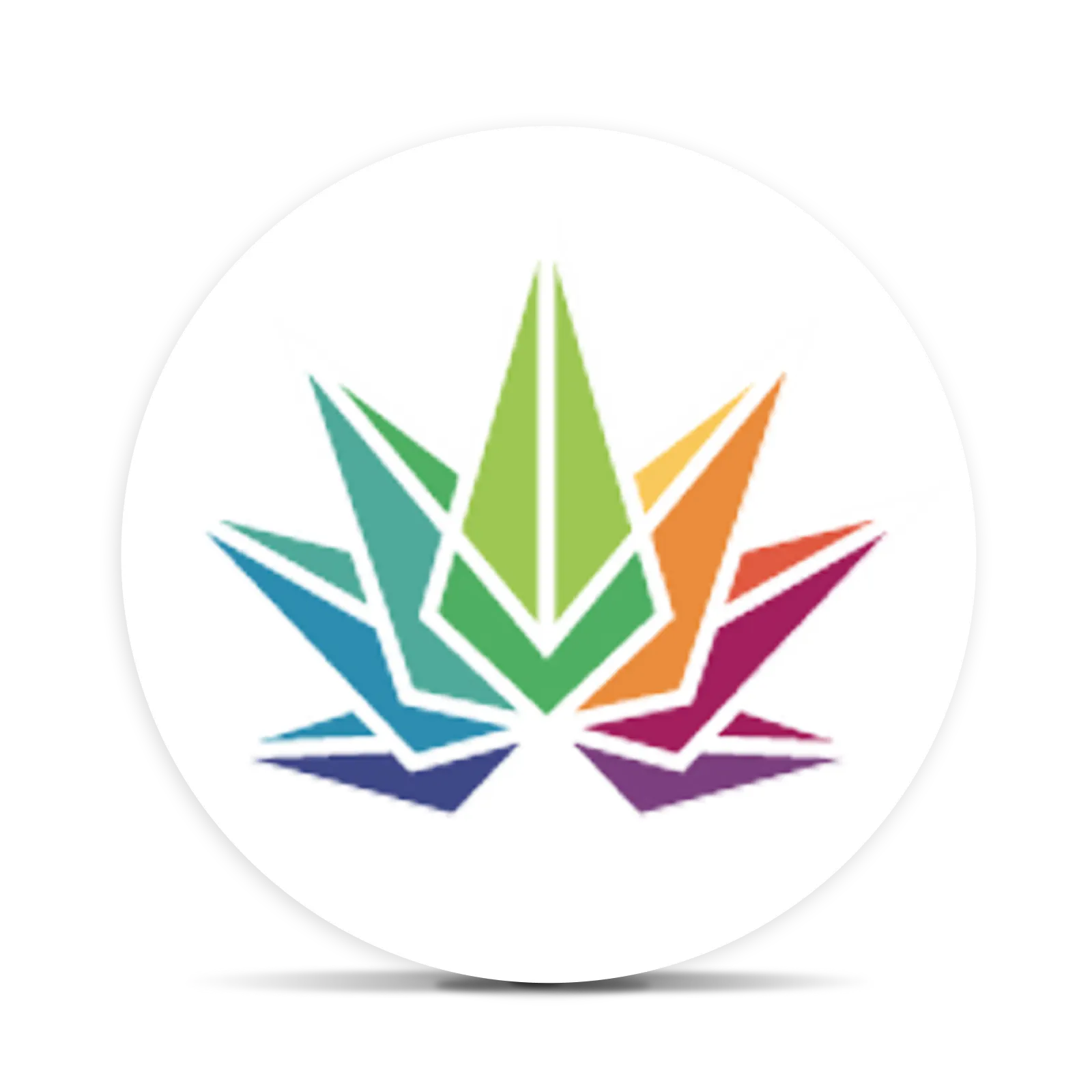 High Falls Canna logo