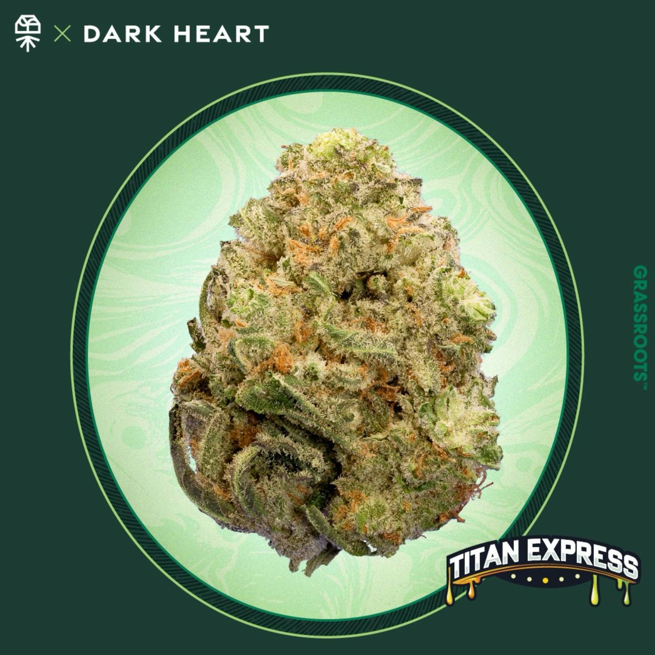 Grassroots Dark Heart Collection Titan Express Whole Flower 3.5g