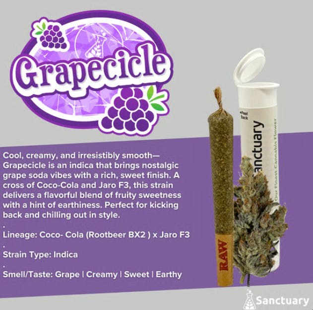 Grapecicle Preroll | 1g | 20.03% TAC | Mass Alternative Care (Amherst)