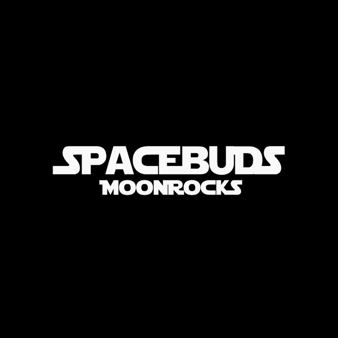 Spacebuds Moonrocks logo