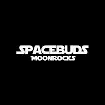 Space Buds MoonRocks Logo
