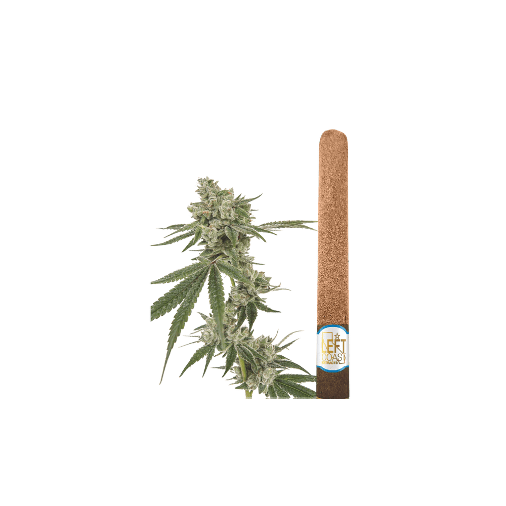 Product Left Coast - Maui Wowie - 2g Infused Blunts