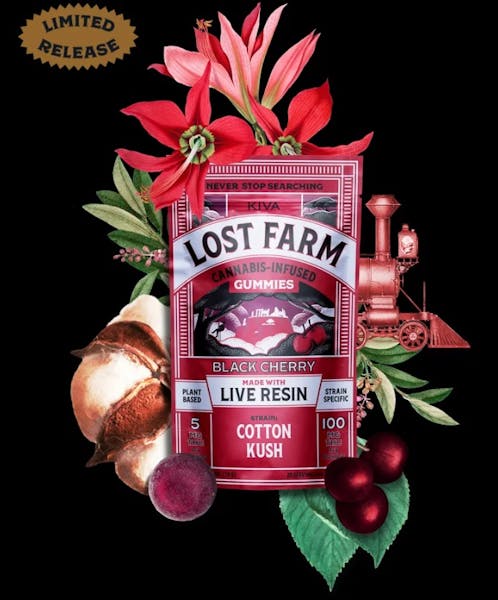 Black Cherry x Cotton Kush (IH) - 20pk 100mg Live Resin Chew - Lost Farms