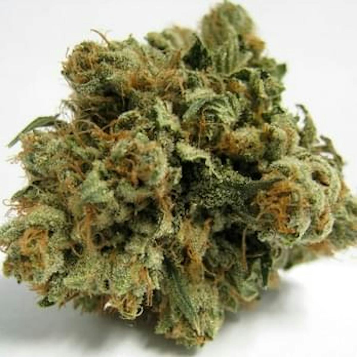 Photo of 707 Headband (Evans Creek)