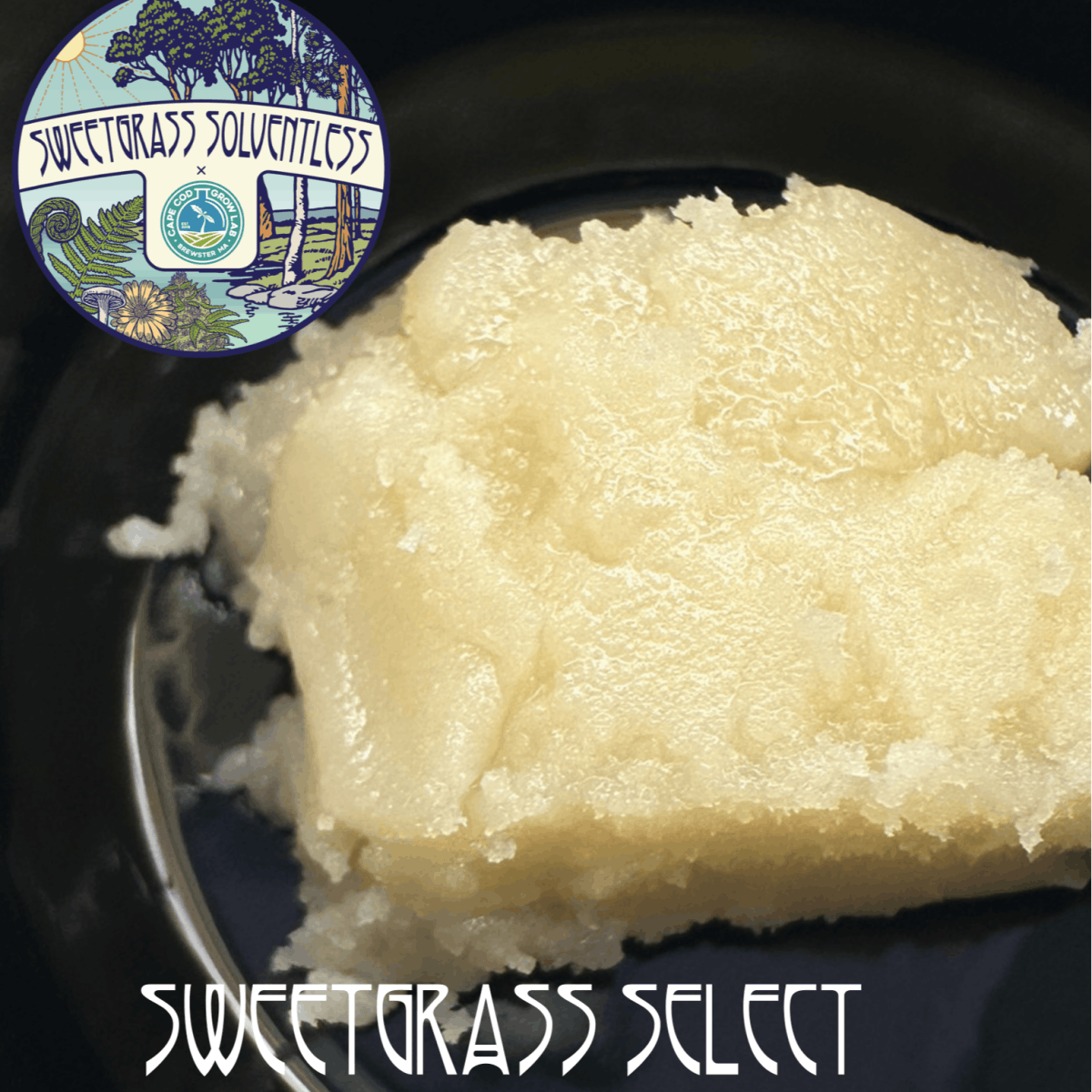 Product Alien Marker - Live Rosin