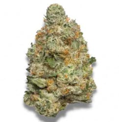 Blue Runtz | GuuZotix