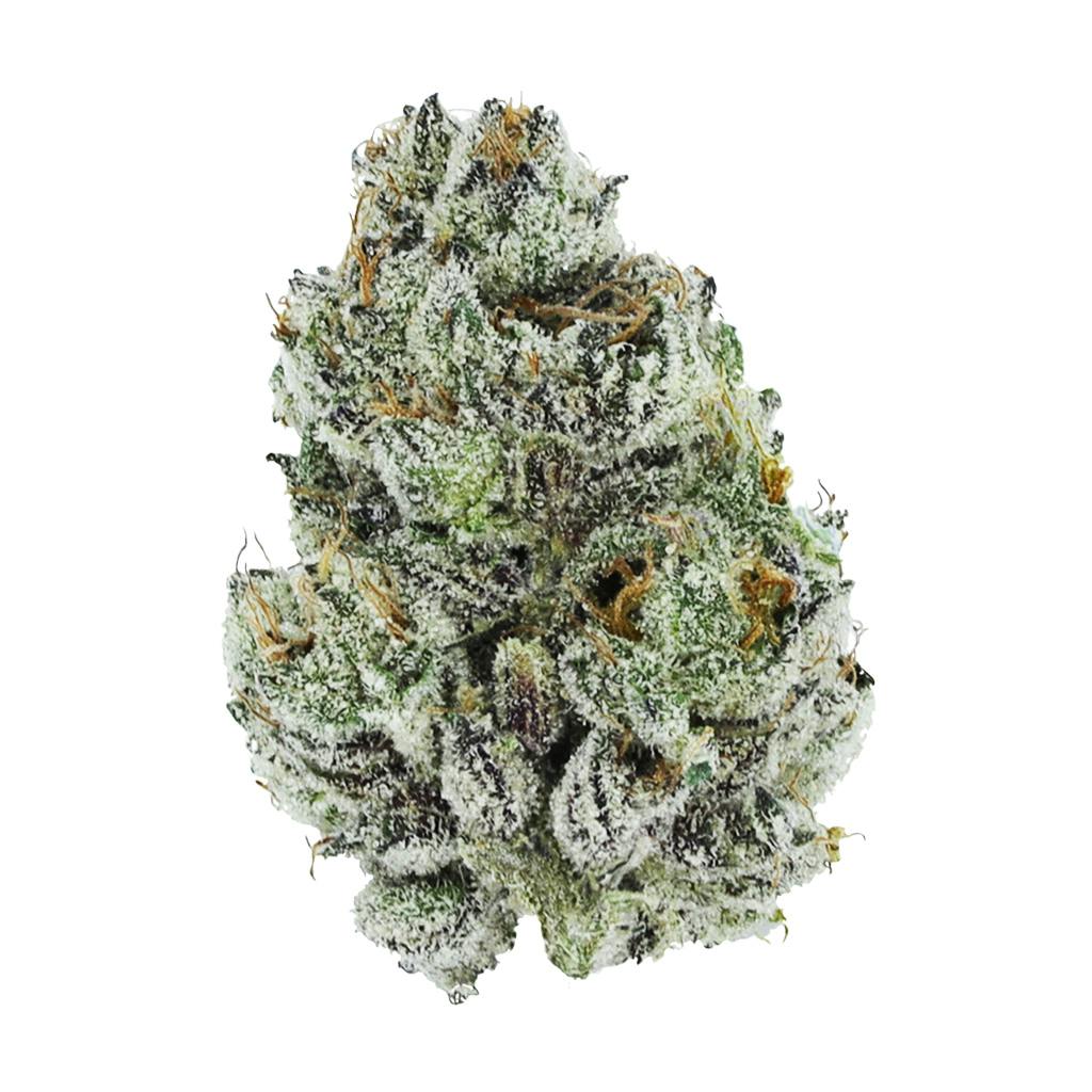 Silky Continental - LA Wedding Pop - Indica | Weedjar - Yonge