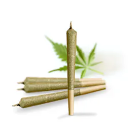 Pre-Rolls category image