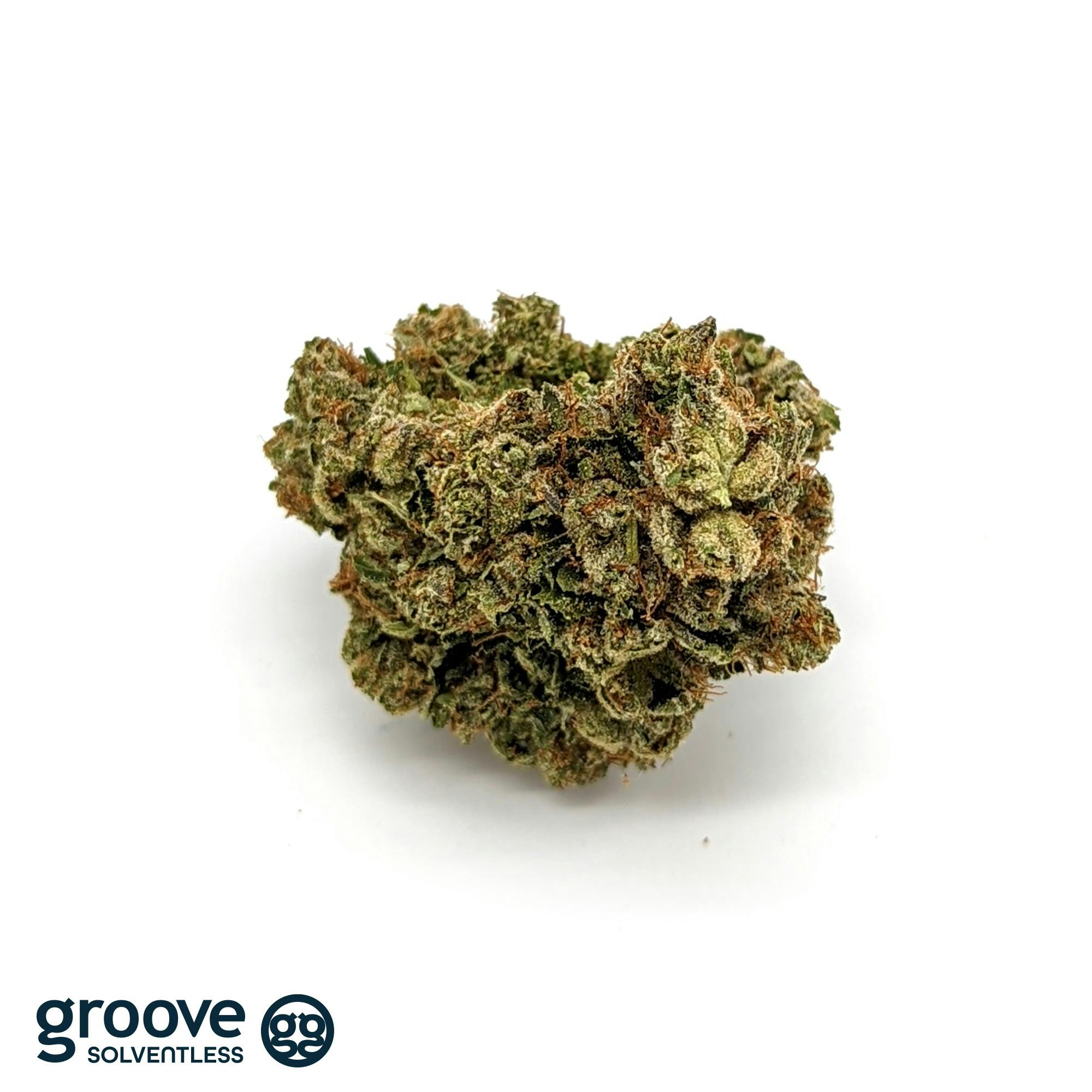 Elevate Your Experience with Solventless Cannabis at Groove