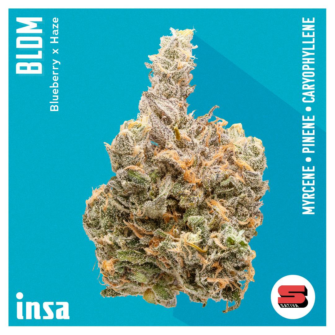 Flower - Blue Dream