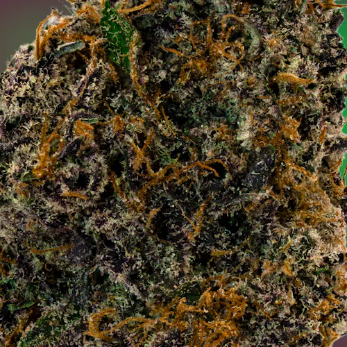 Deli Style | Blueberry Cupcake – Indica Hybrid-2