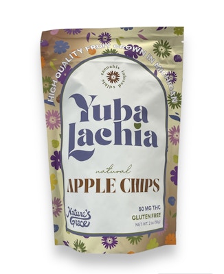 Product NGW Yubalachia Natural Apple Chips