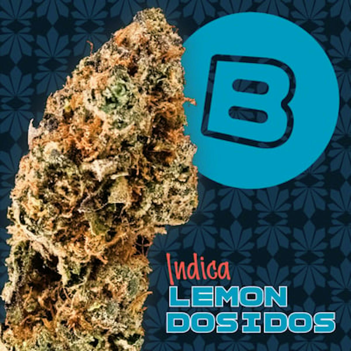 Photo of Lemon Dosidos | 2.83g