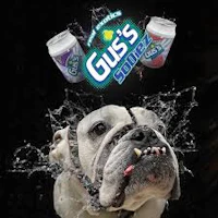 Gus's Exotics - 14g Prepack - Red Sodie - product image at King of Budz