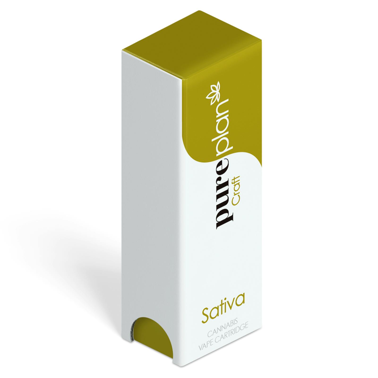 Craft - Southern Peach