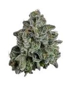 Product J-Bam | Dante;s Inferno | Flower
