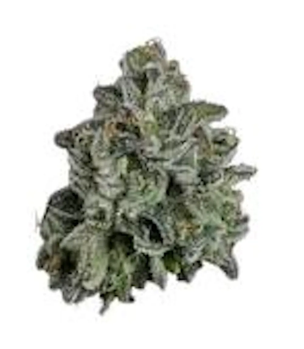 Product J-Bam | Dante;s Inferno | Flower