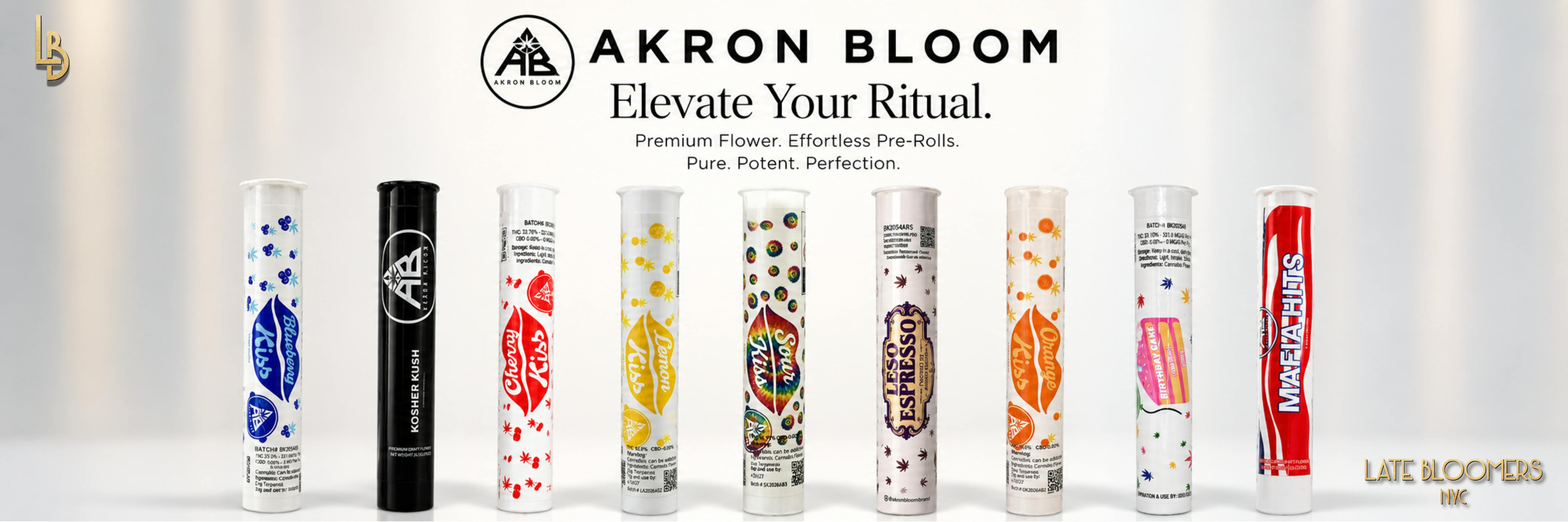 AKRON BLOOM PRE-ROLL BANNER LB NYC