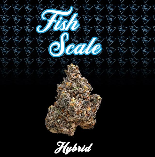 Product Fish Scale Buds