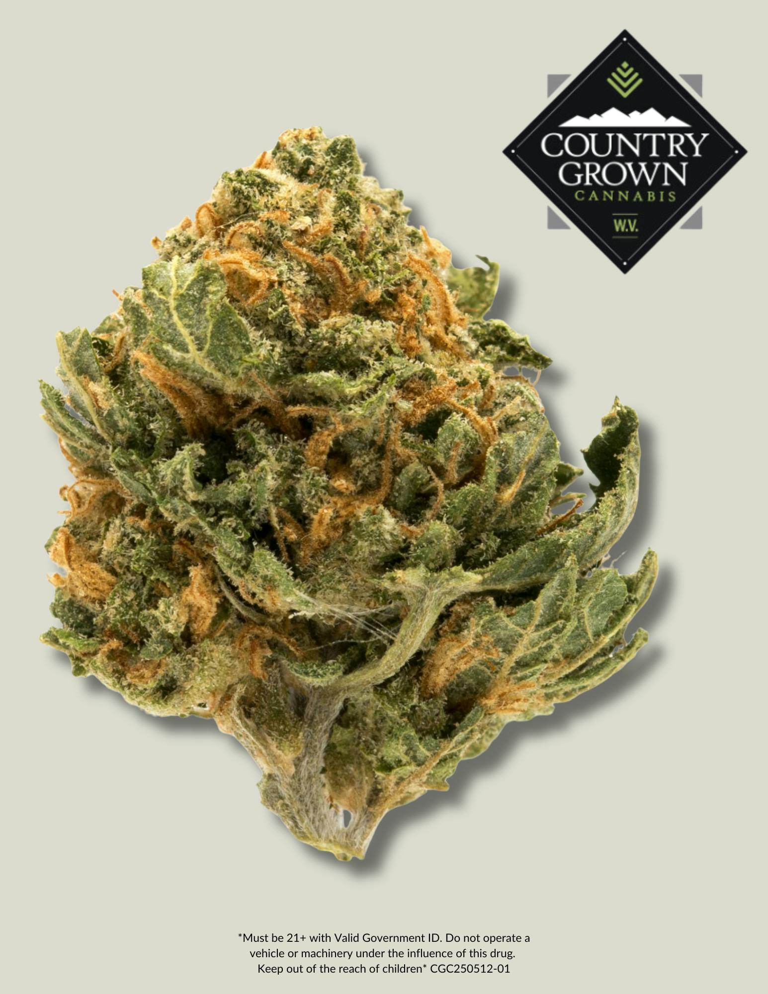Permafrost