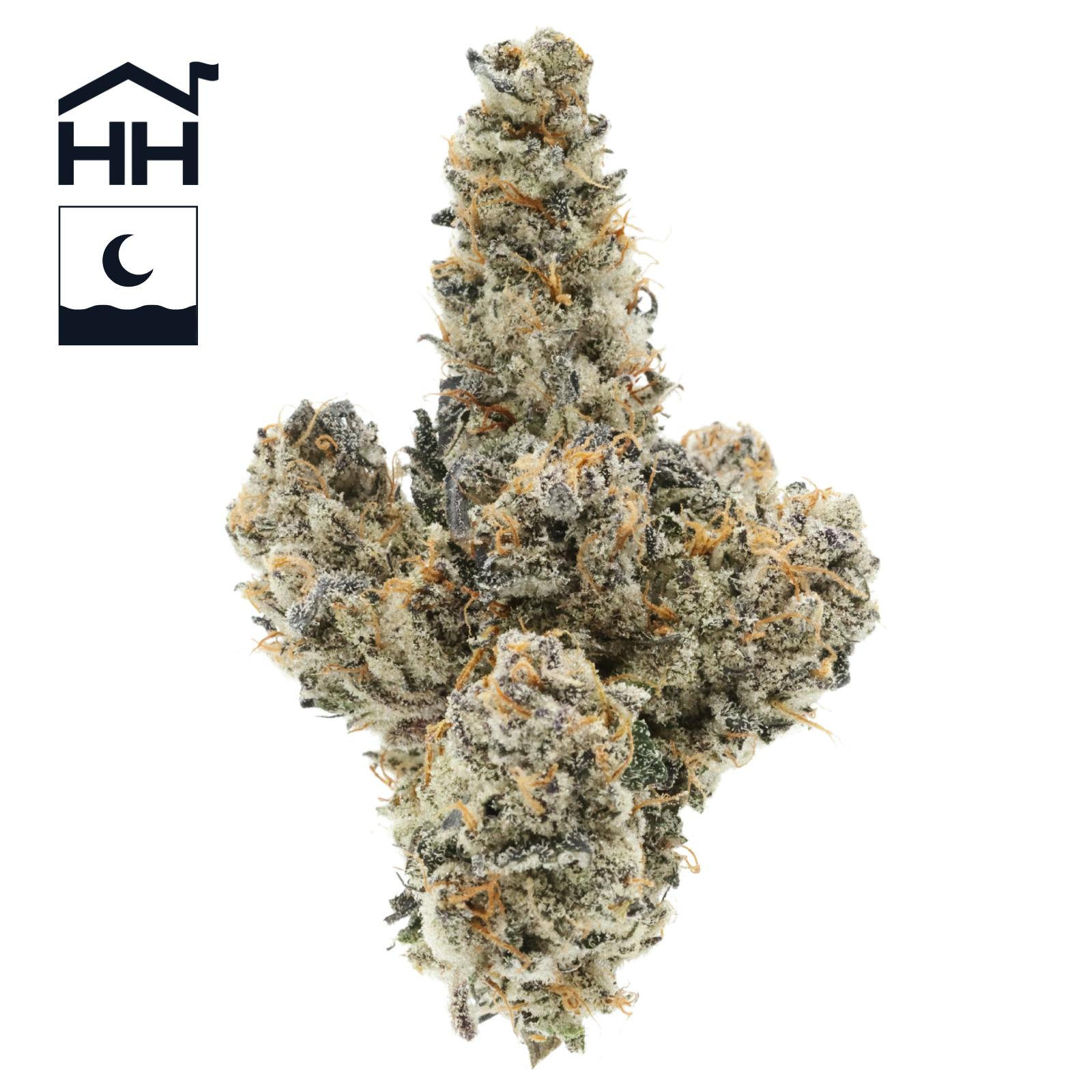 Harbor House Collective Gushers Provincetown, MA Hennep