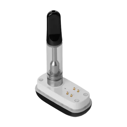 Cartisan | Veil Bar Neo | Noir-2