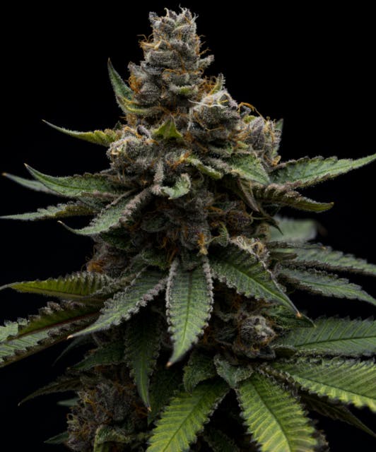 Strawnana