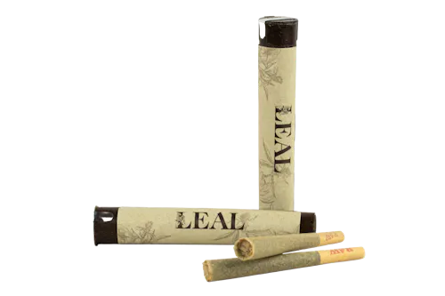 Hella Jelly | 1g Pre-Roll-active