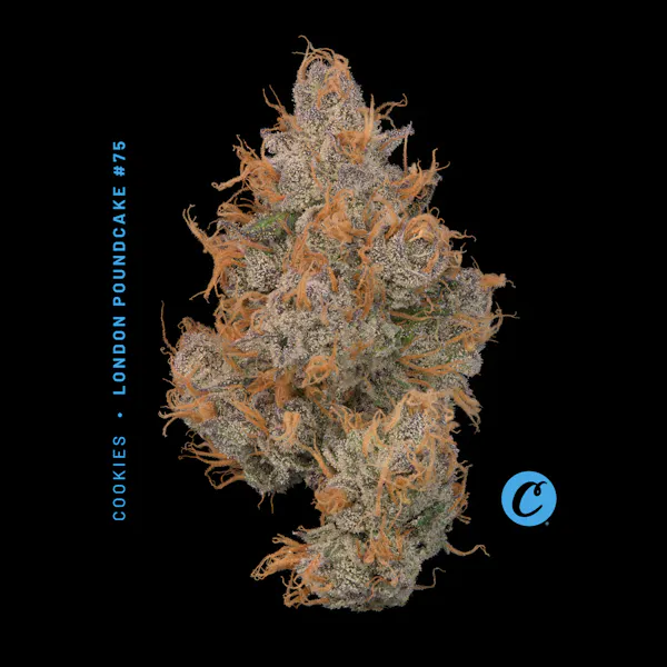 Wild Cat 2.83g Flower | Riviera Creek |