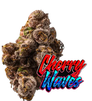 Jungle Drops - RSO 1:1:1:1:1 THC:CBD:CBG:CBN:CBC - 200mg THC