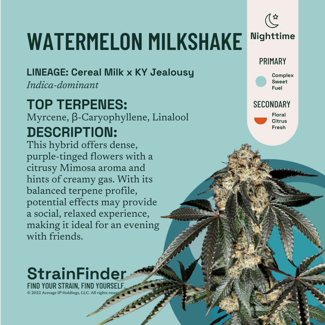 Product Watermelon Milkshake (I) | Flower