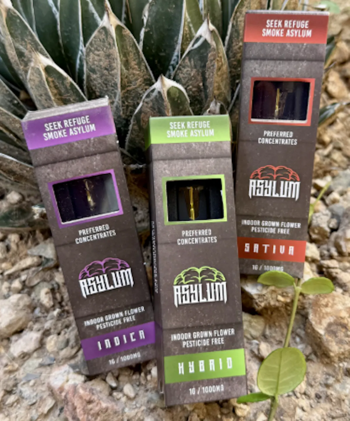 FRESHLY BAKED – ALL IN ONE VAPE 1g Vaporizers