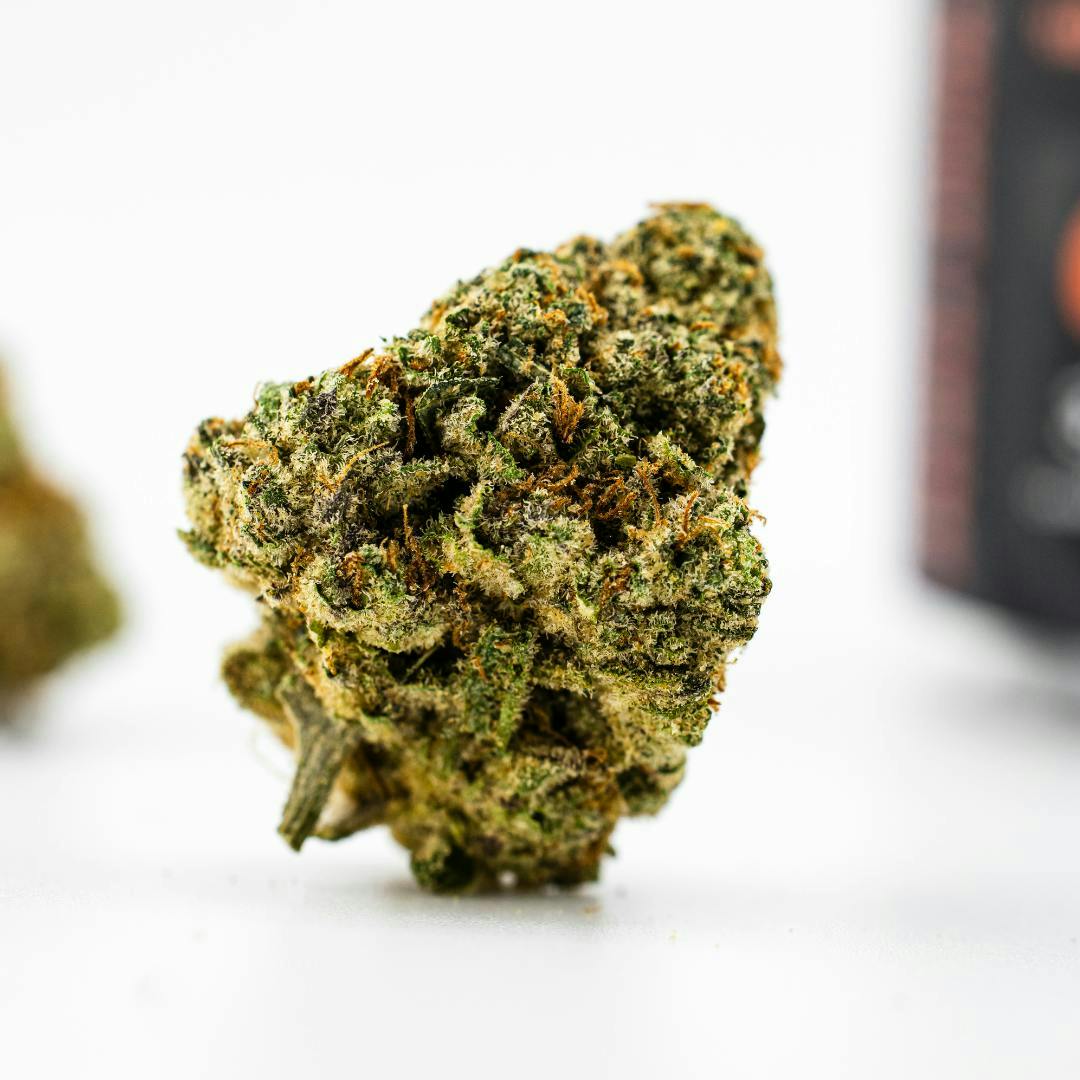 SUNSET SHERBET-1