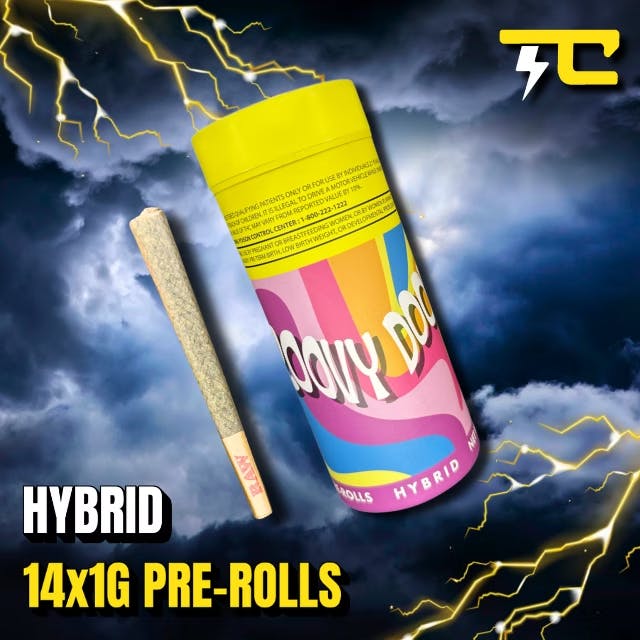 Thunder Canna - 14-Pack 1g Prerolls - Ethos Cookies