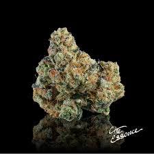 Product VE Essence Flower - Triangle Kush 14g