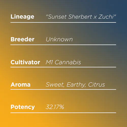 Deli Style | Los Celos – Sativa-1