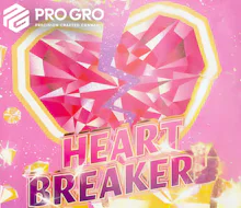 DELI - Pro Gro - Heart Breakerz - FLOWER by Pro Gro at King of Budz