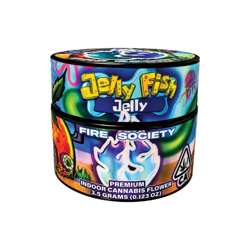 JELLY FISH JELLY-0